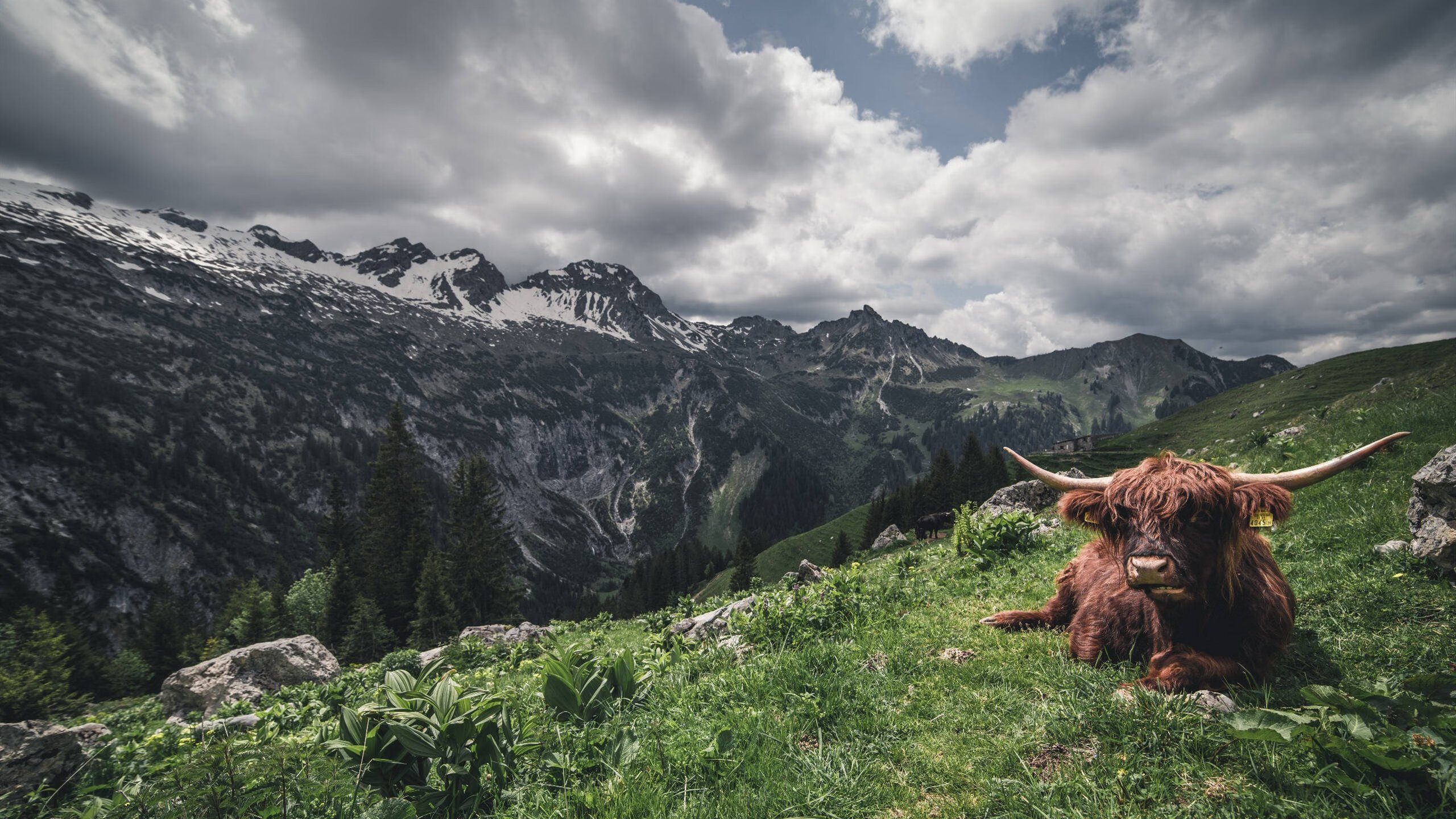 【比赛策略】如何平衡攻防，实现胜利最大化？，史上最佳攻防平衡足球阵容